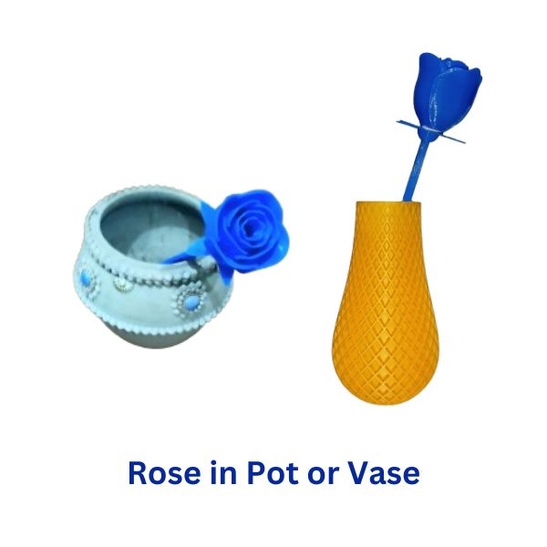 blue rose in pot and vase
