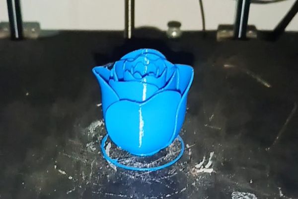 rose on 3d printer bed