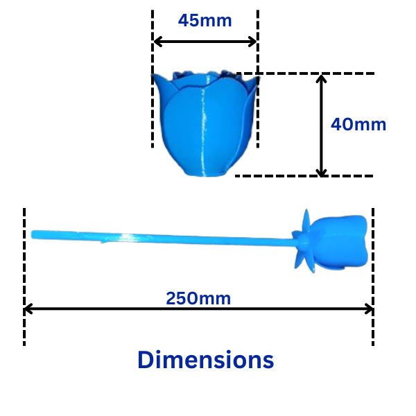 blue rose dimensions
